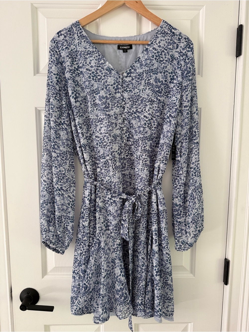 Express Light Blue Floral Long-Sleeve V-Neck Dress